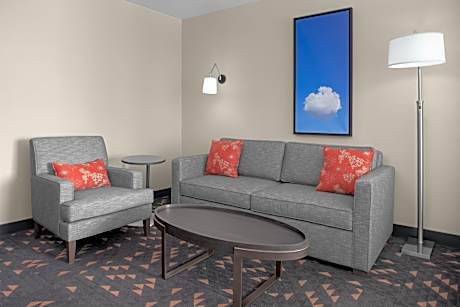 King Suite with Sofa Bed