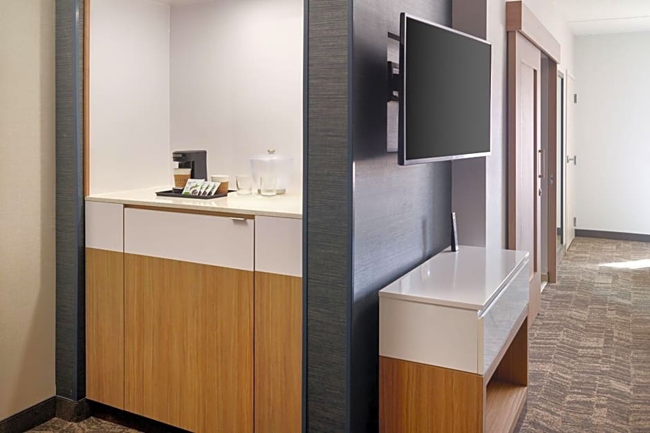 SpringHill Suites by Marriott Arlington TN