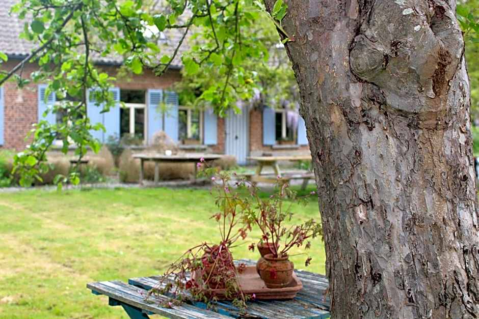Saffels Nest 33