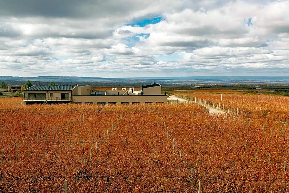 Auberge du Vin, a Tribute Portfolio Hotel, Tupungato