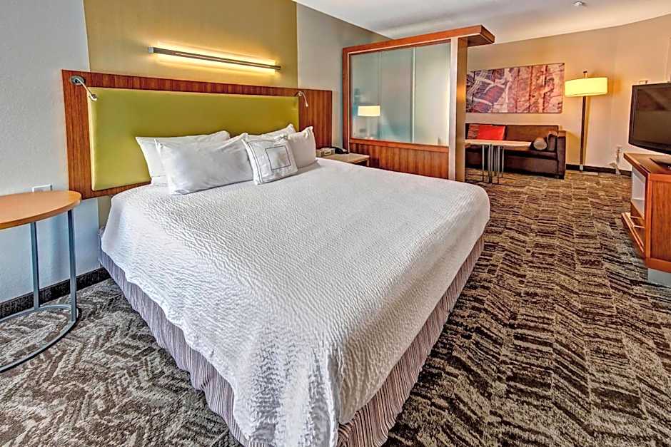 Photo 1 of 4 of 1 King Bed with Sofabed Suite, Hearing Accessible