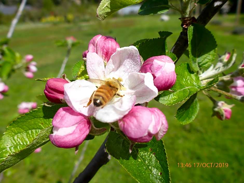Fran and Frankie's Bed & Breakfast