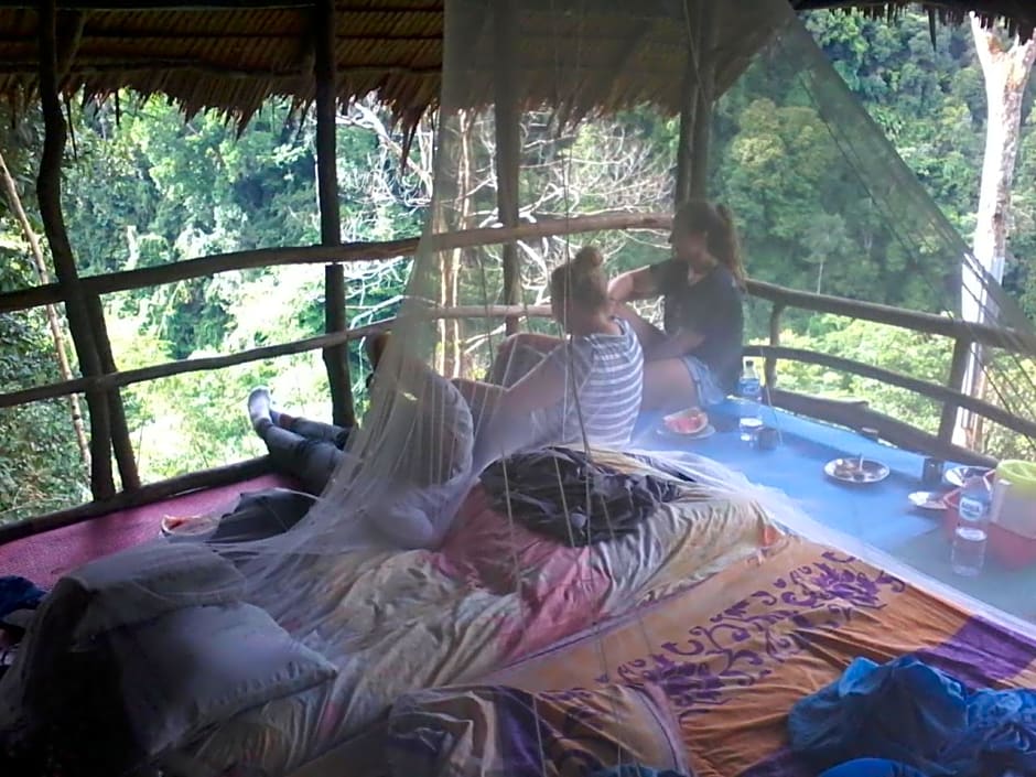 ORANGUTANTREKSUMATRA & LOVELY JUNGLE LODGE only book IF you are treking with us