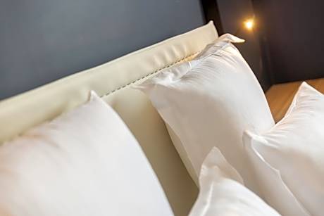 Standard Room 1 Queen Bed