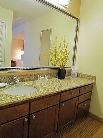 Basic Studio, 1 Queen Bed with Sofa bed (Mobility/Hearing Access, Roll-In Shwr)