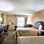 Rodeway Inn Metro Airport