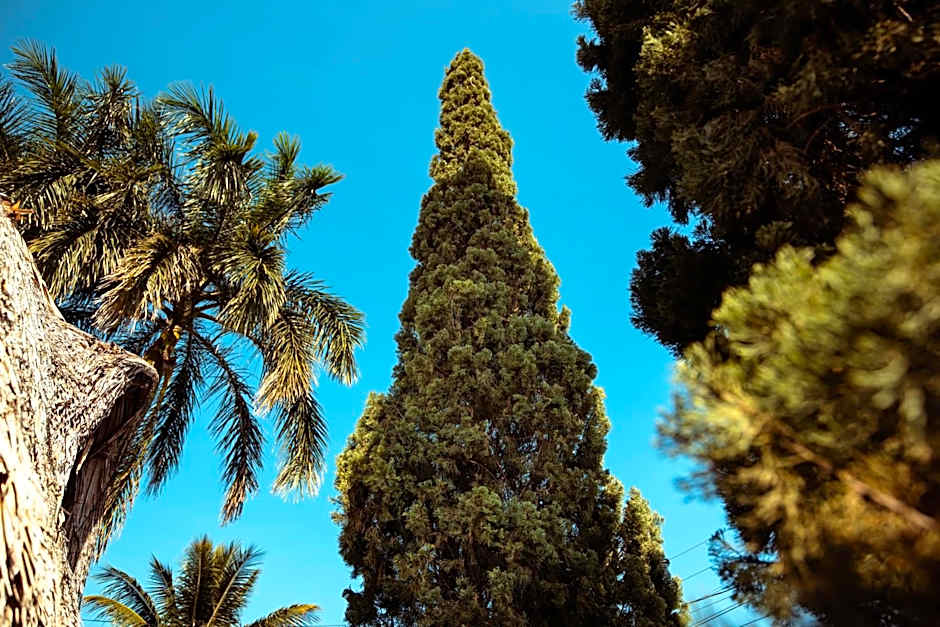 Hotel y Beach Club Casa Mia Xulha -Bacalar