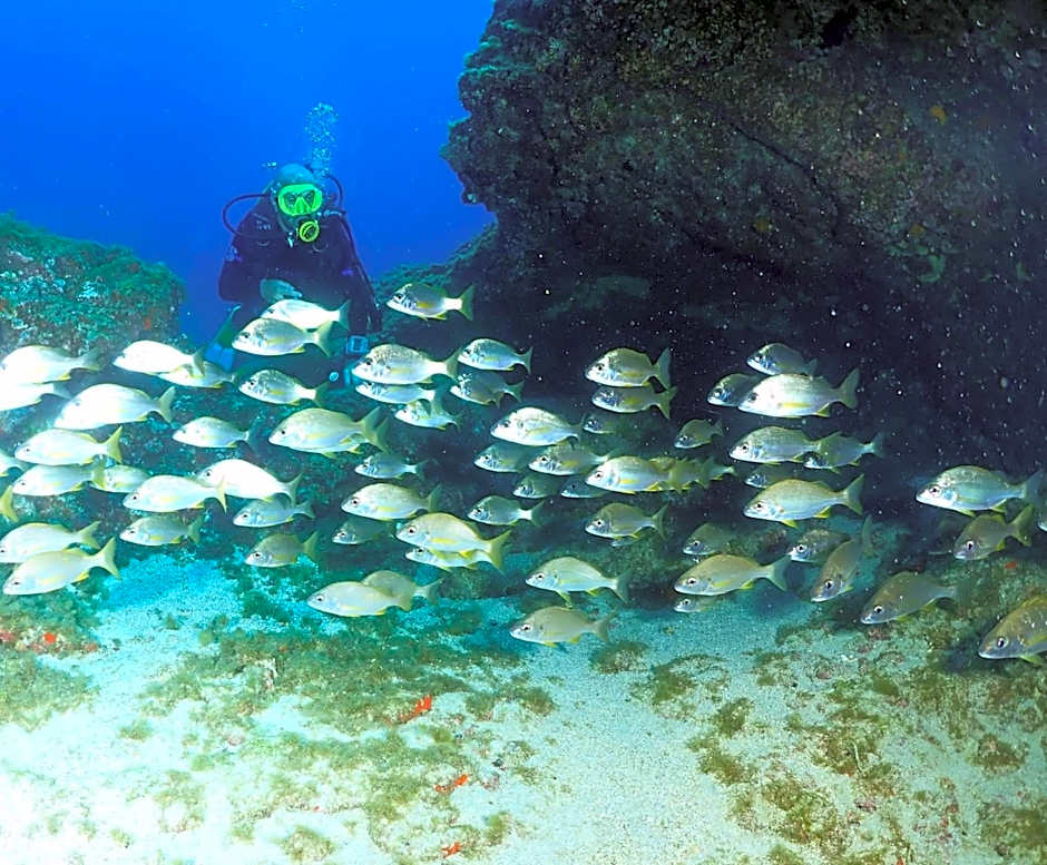 Single Fin Surf Hostel