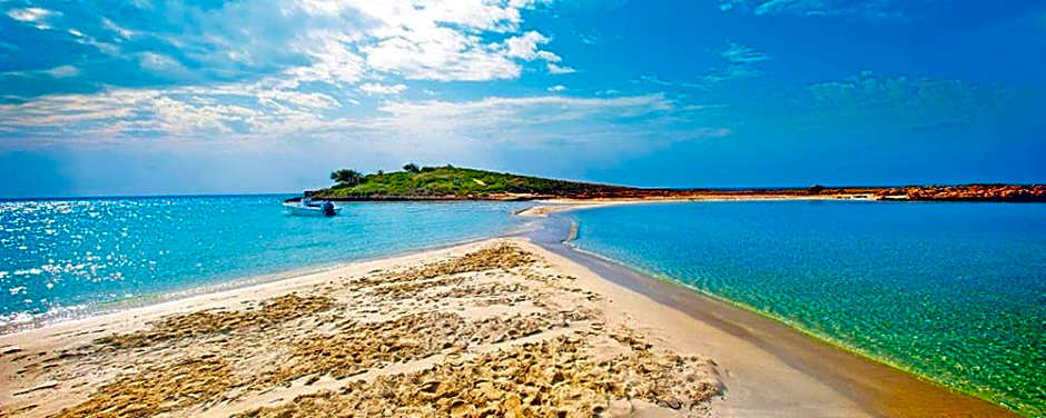 Margarita Napa Apartments