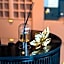 Hôtel et Restaurant Le Regina
