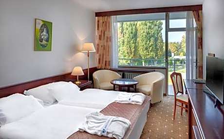 Comfort Double or Twin Room with access to the hotel pools