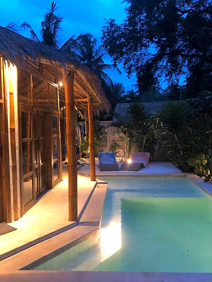 Tipsea Turtle Gili Air