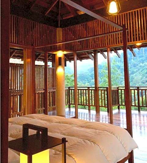 The Shorea