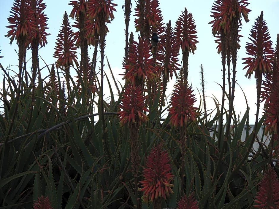 Karibu River Retreat