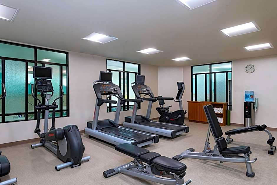 SpringHill Suites by Marriott Dallas Dfw Airport East/Las Colinas Irving
