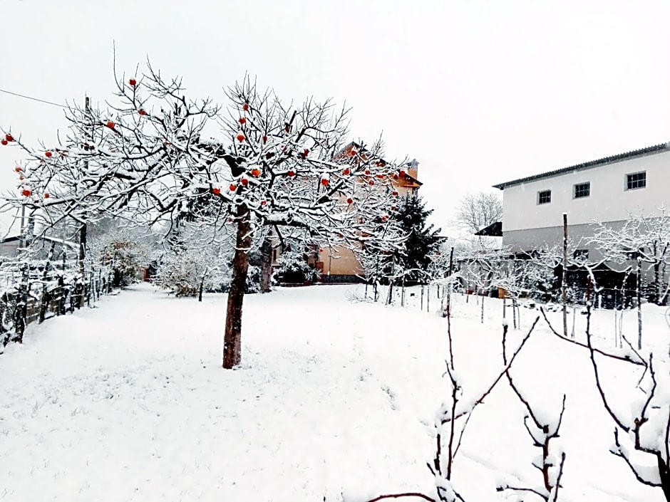 da Vanilla affittacamere