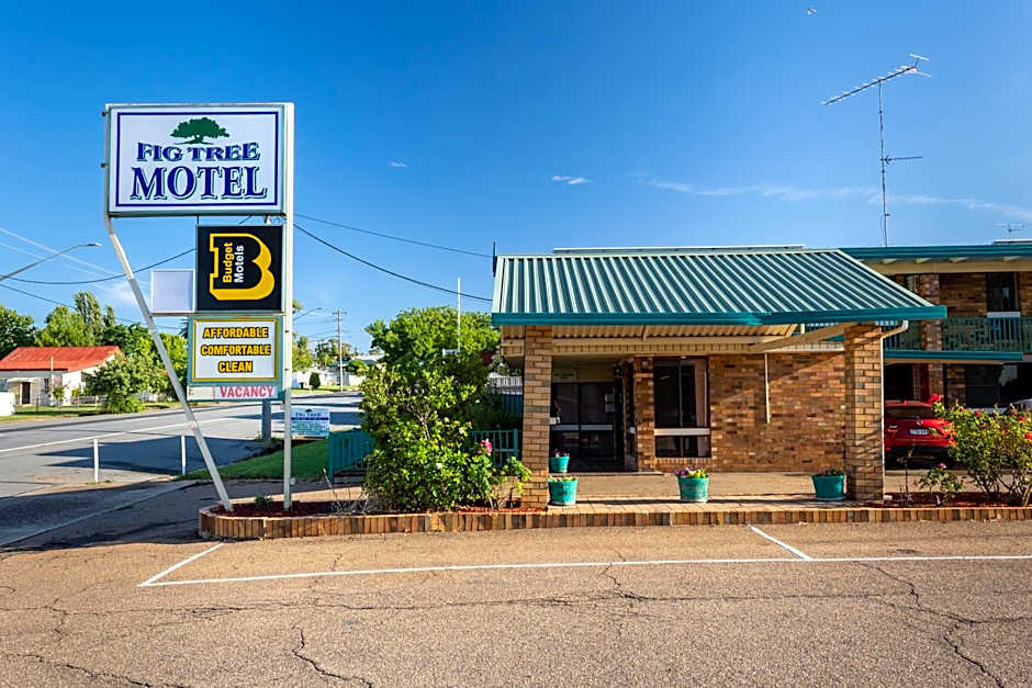 Figtree Motel