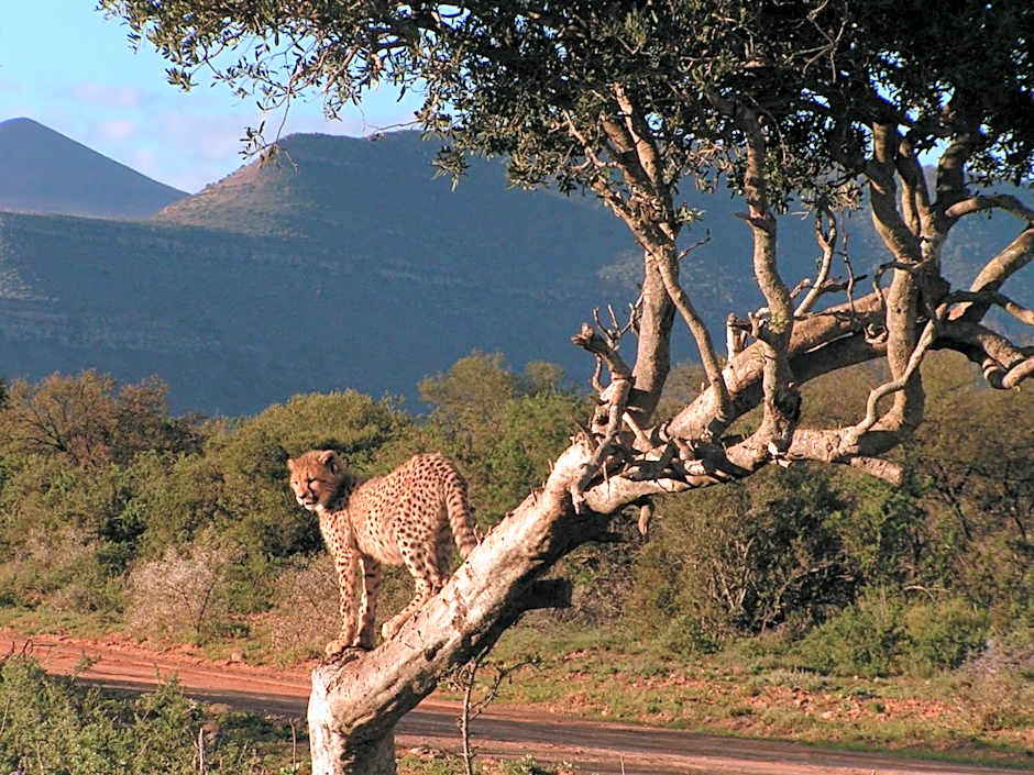 Samara Karoo Reserve