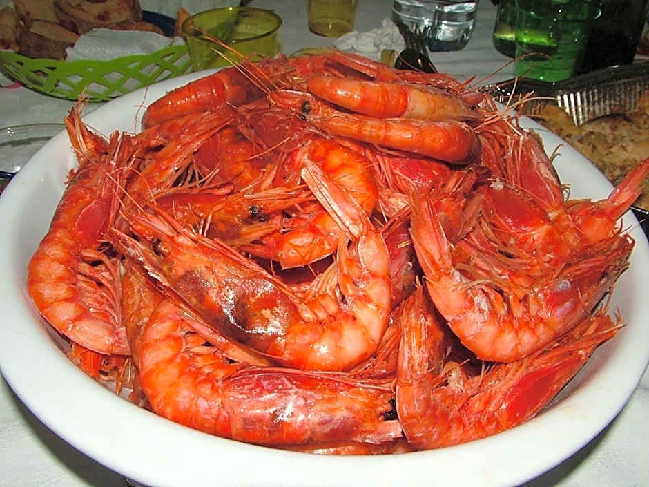 Oikos Selinunte Guest House