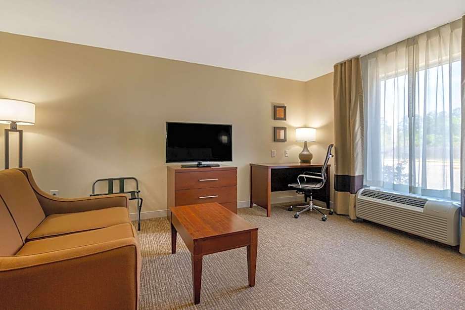 Comfort Inn & Suites Macon West