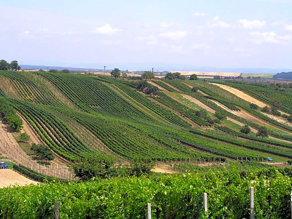 Adalbert penzion Čejkovice