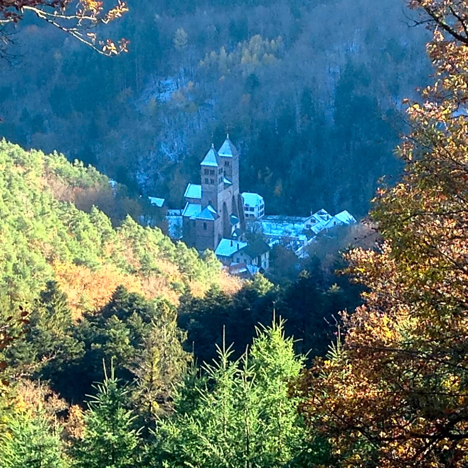 Le Saint Barnabe & Spa - near Guebwiller
