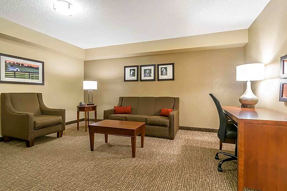 Comfort Inn & Suites Lexington
