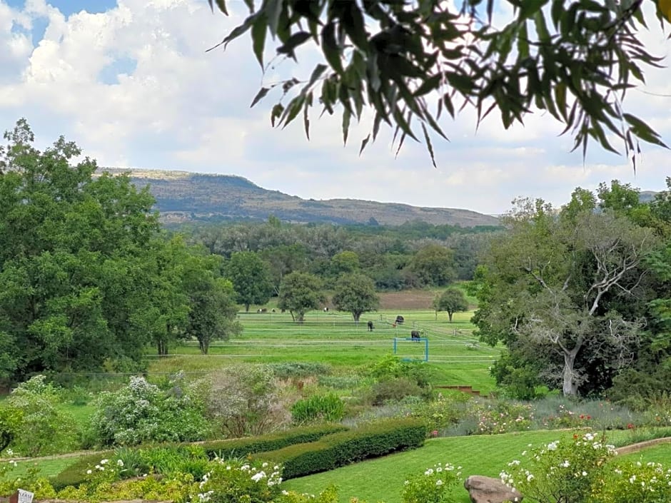 Black Horse Brewery, Restaurant & Accommodation