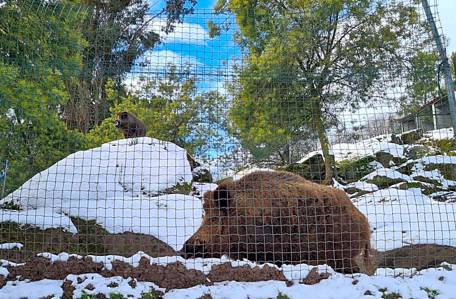 Quinta de Santo Estêvão Hotel Rural