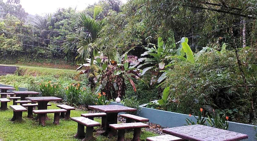 Green Peace Sungai Lembing