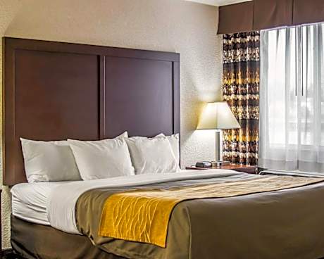 1 King Bed Nonsmoking Accessible