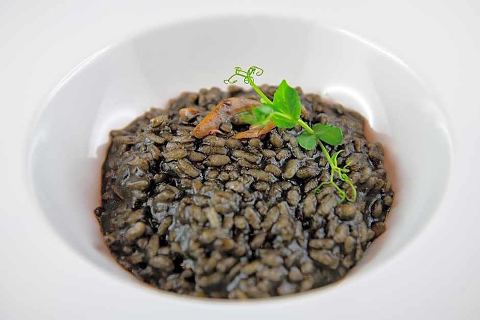 Antica Villa Graziella Venice - Atika & Atif