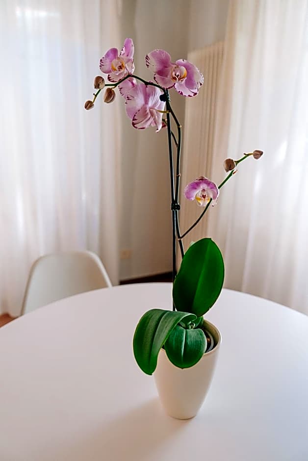 Locanda Del Feudo Charme & Relax