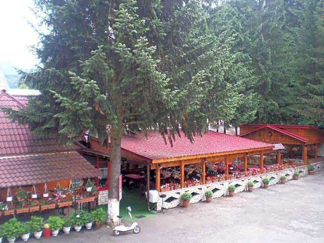 Complex Turistic Caprioara