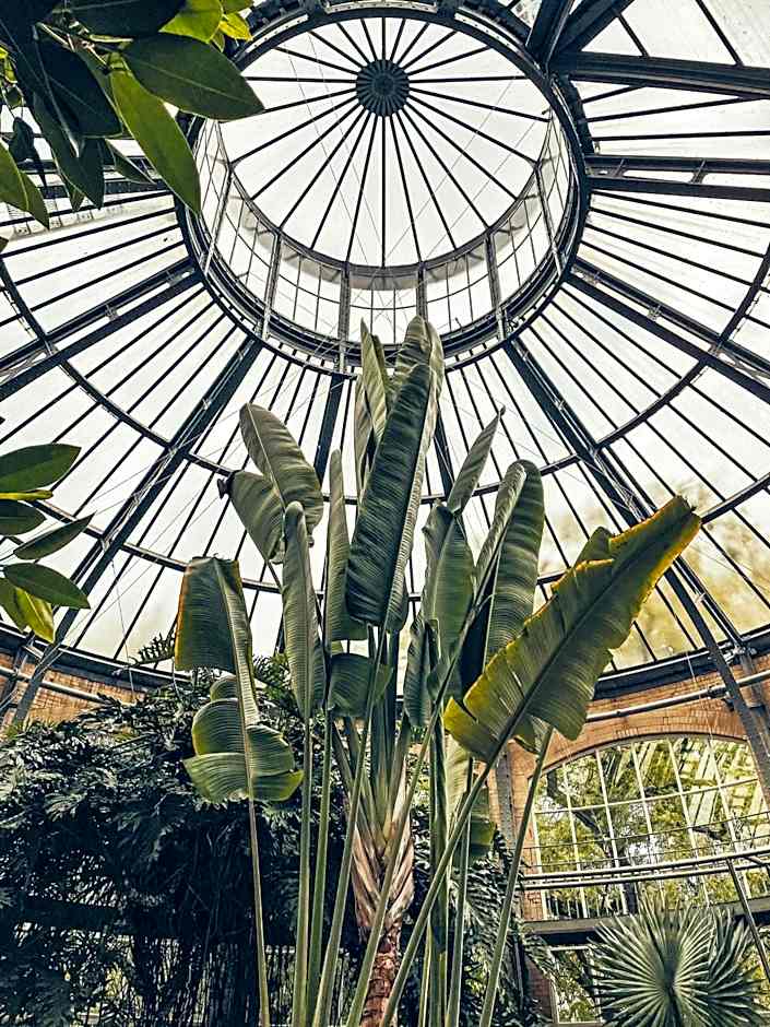 NEW! 2024 - The Canal Bridge Suites