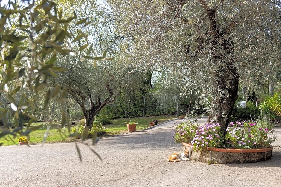 La Tana delle Stelle B&B di Charme e Relax