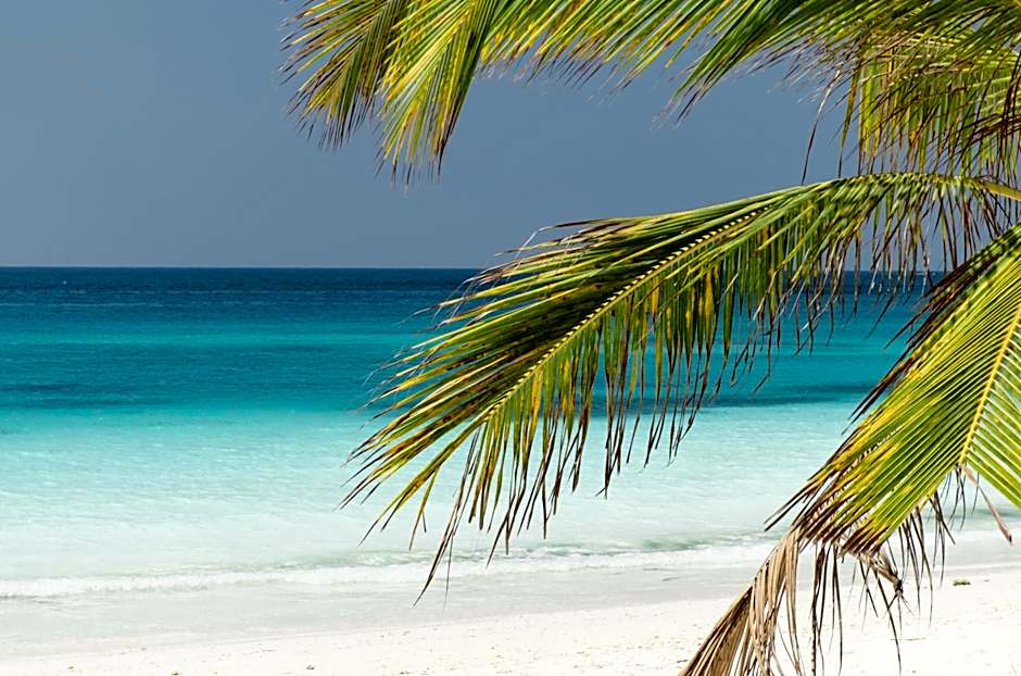 Tikitam Palms Boutique Hotel