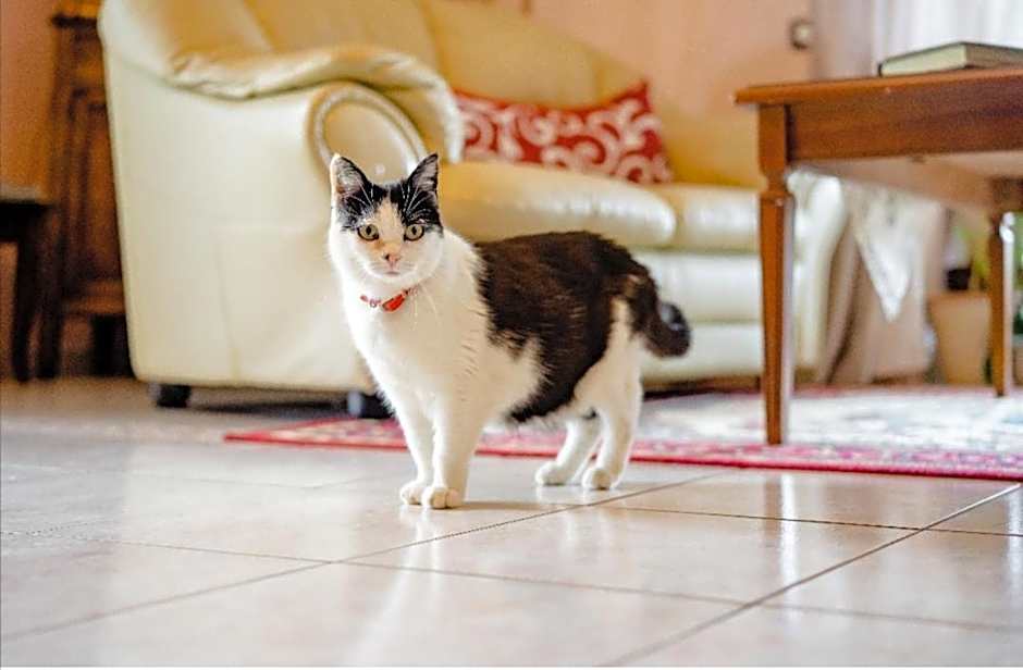 B&B Il Ghiro-Country House