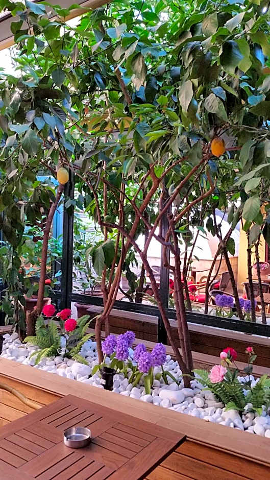 Boyuguzel Termal Hotel