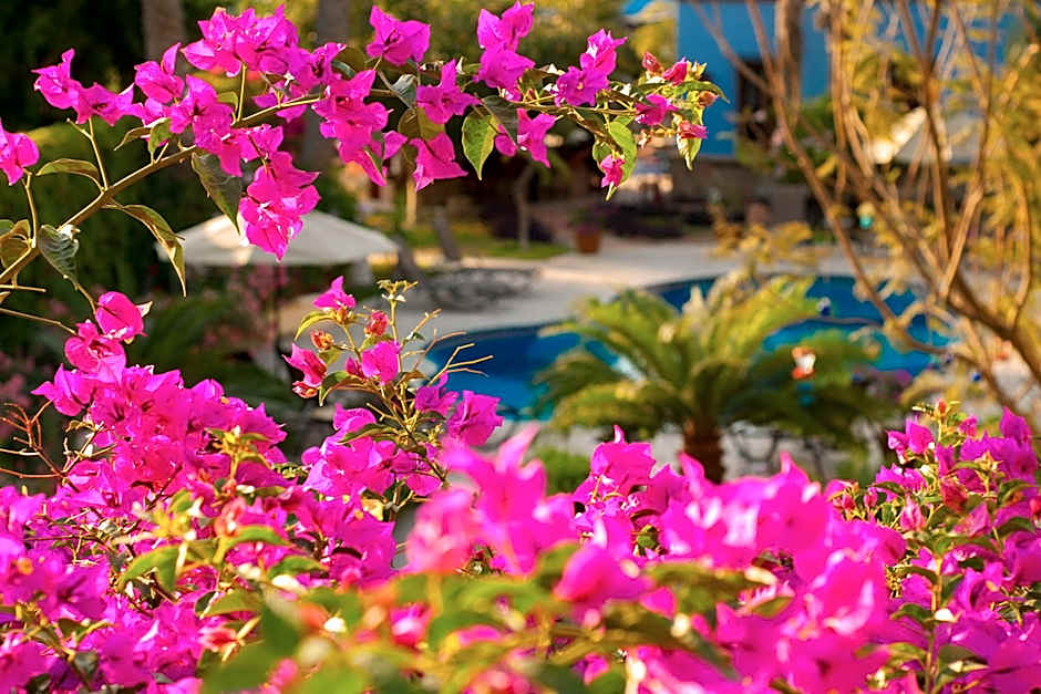 El Encanto Inn & Suites