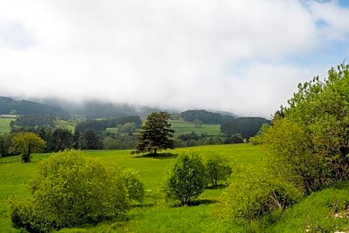 Le Moulin Malin