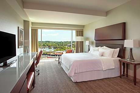 Premium King Room