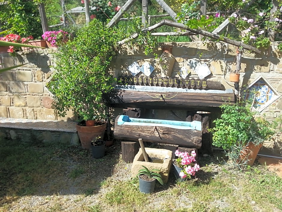 Agriturismo L'Uliveto