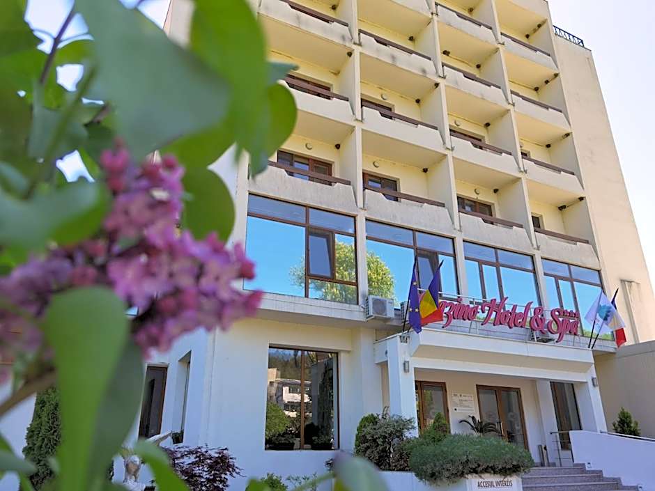 Hotel Spa Cazino Monteoru