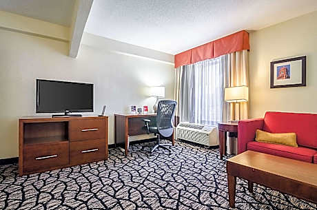 1 King Bed, Suite, Nonsmoking, Accessible