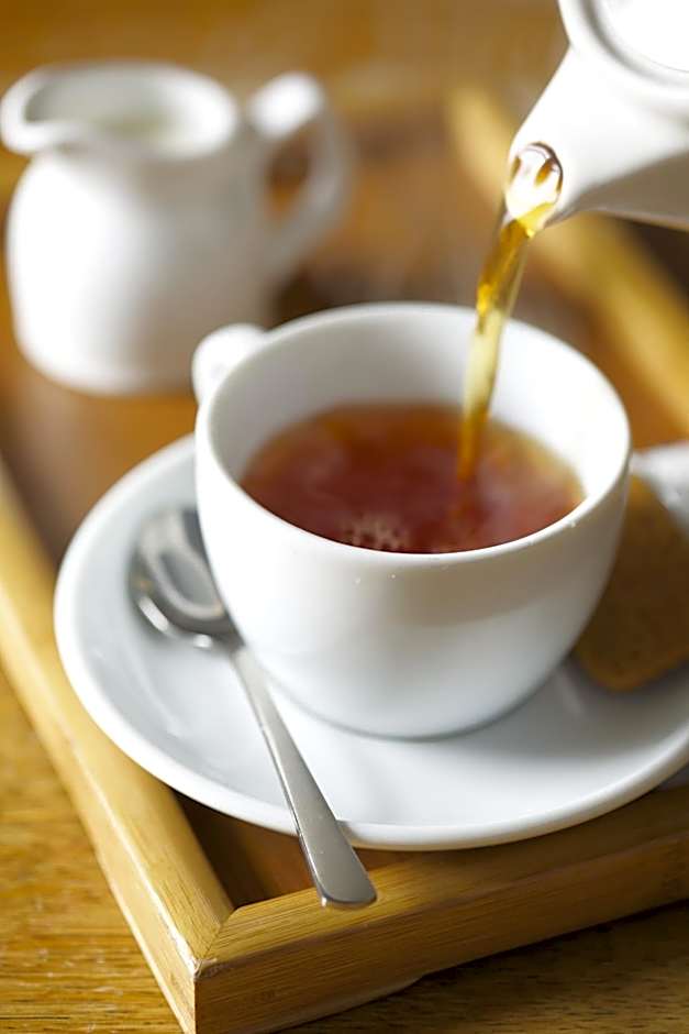 The Plume of Feathers