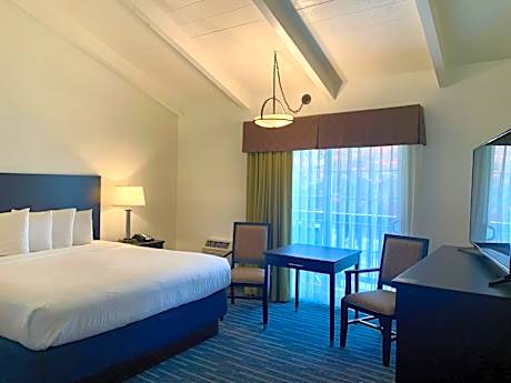 Deluxe King with Balcony