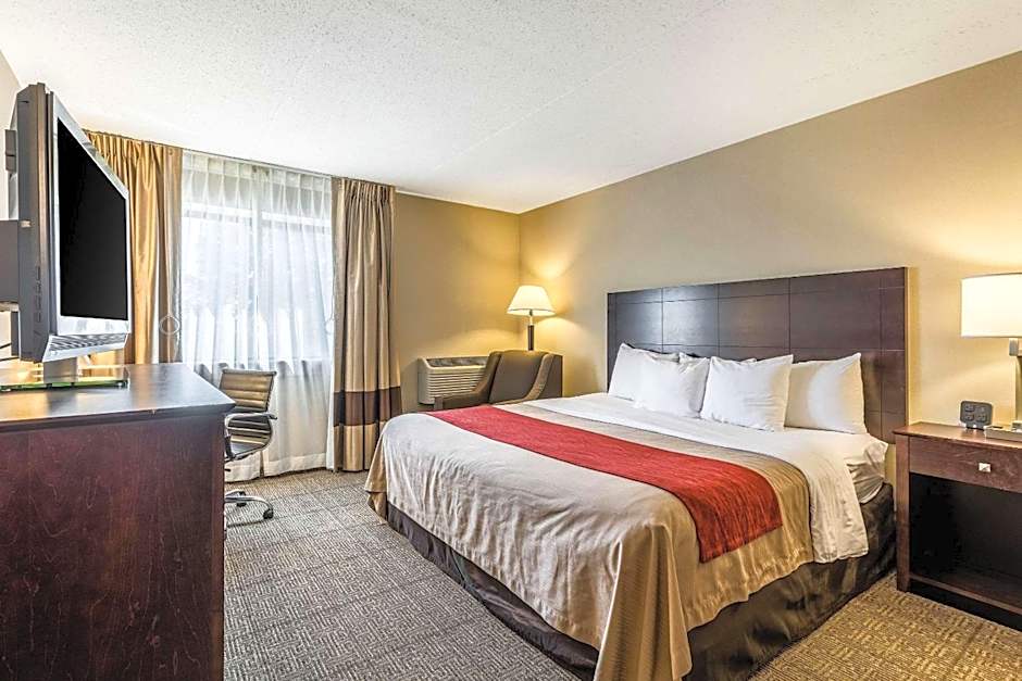 Comfort Inn Lansing West
