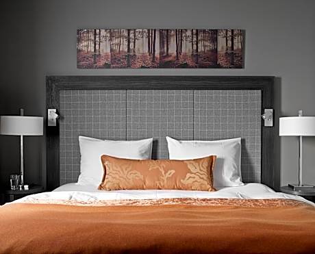 Superior Double Room with Mountain View