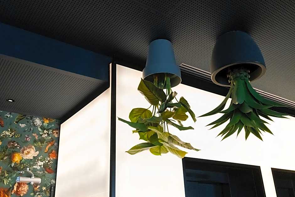 Chic & Basic Gravity